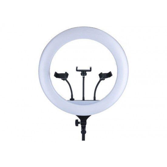 Selfie Ring Light 36cm Led